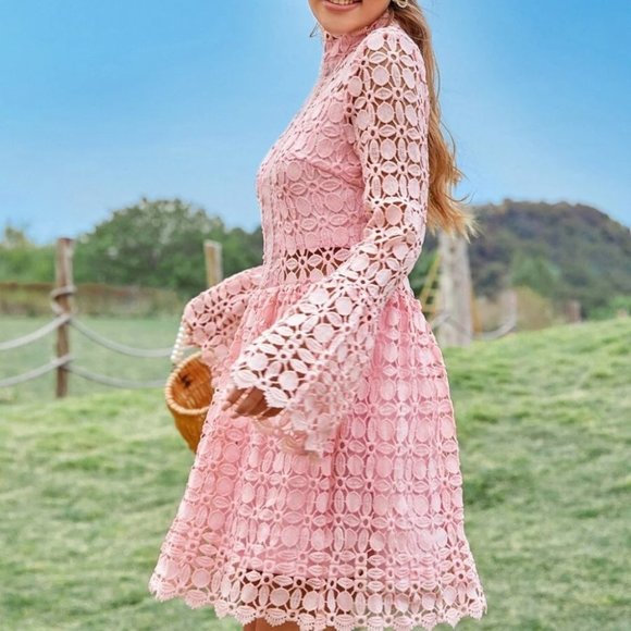 Mesh Insert Mock Neck Flounce Sleeve Lace Dress PINK - Picture 5 of 7